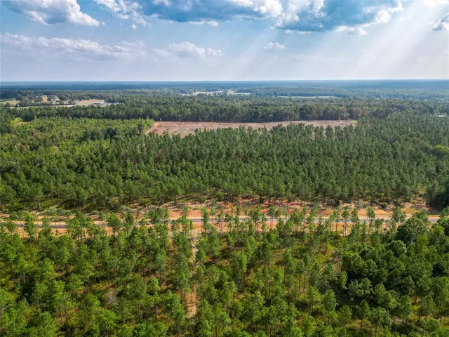 an aerial view of residential houses with outdoor space and trees