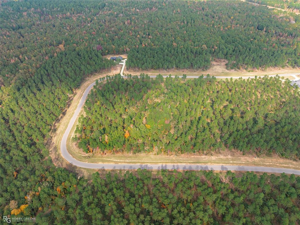 231 Millwood Loop, Unit 16 Minden, LA 71055 - Photo 8 of 18 a view of a yard with large trees