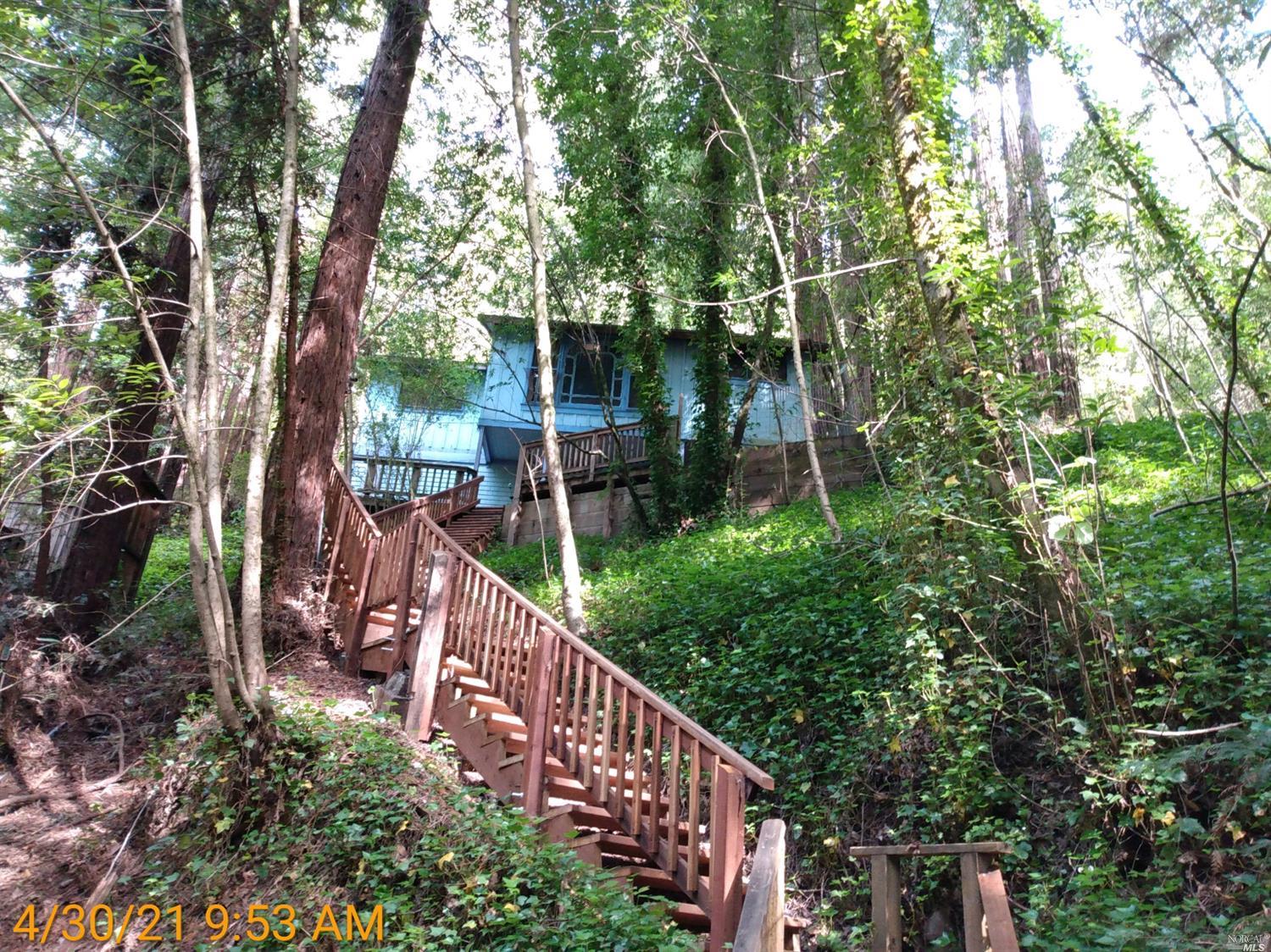 a view of a pathway of a house with a tree in the background