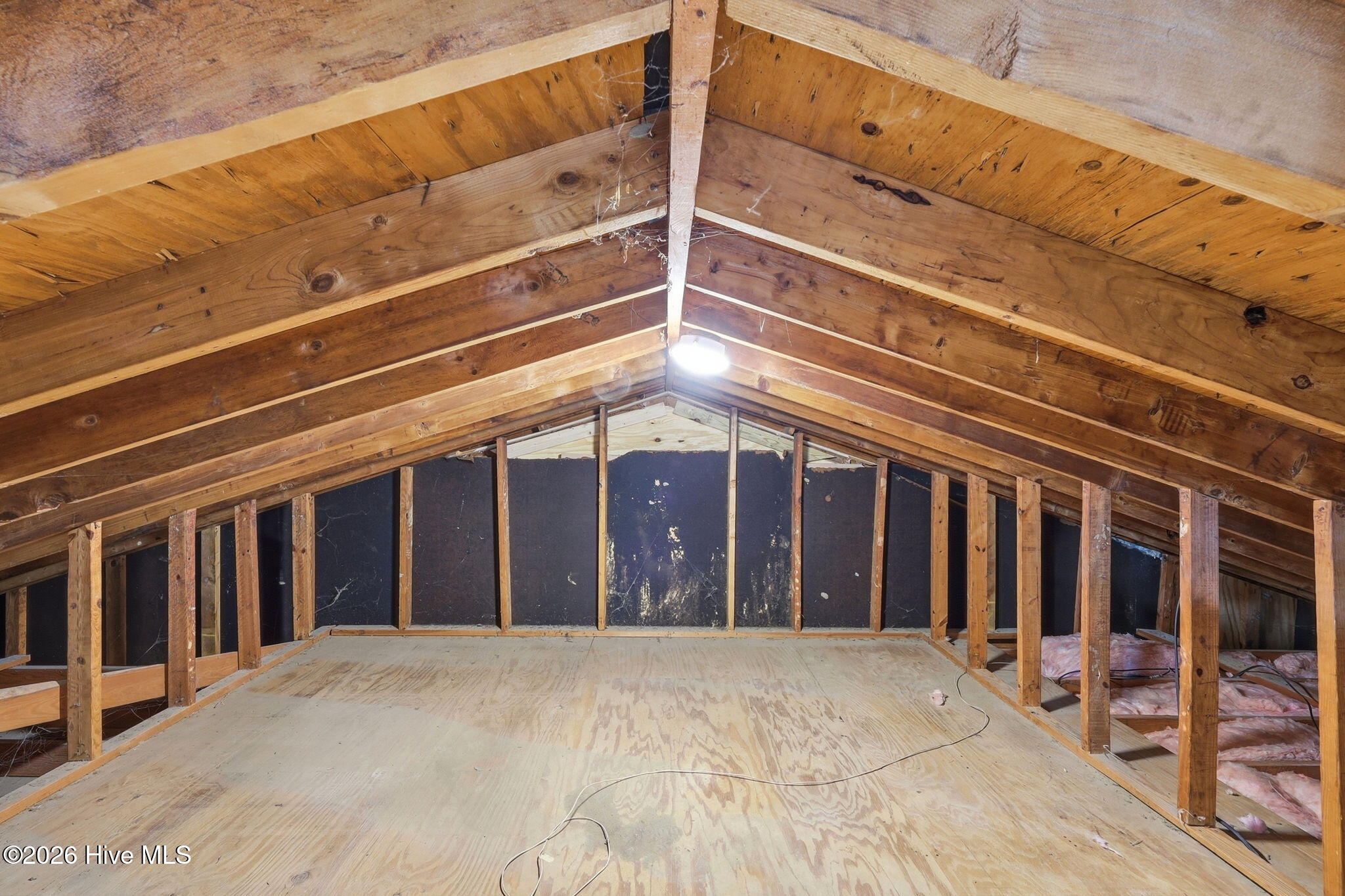 2804 Hodges Road Kinston, NC 28504 - Photo 38 of 50 Attic Storage