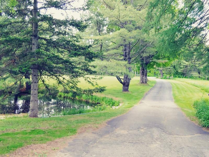 1790 Reed's Mill Road Phillips, ME 04966 - Photo 19 of 41 24