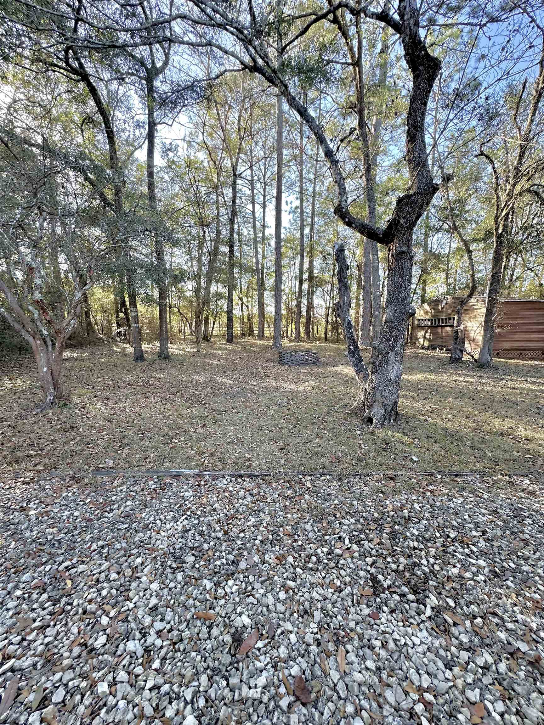 160 Magnolia Ridge Crawfordville, FL 32327 - Photo 3 of 35