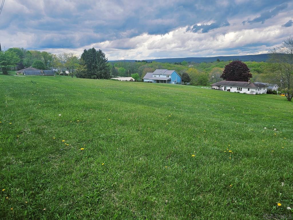 White Star Way Jennerstown, PA 15547 - Photo 2 of 17