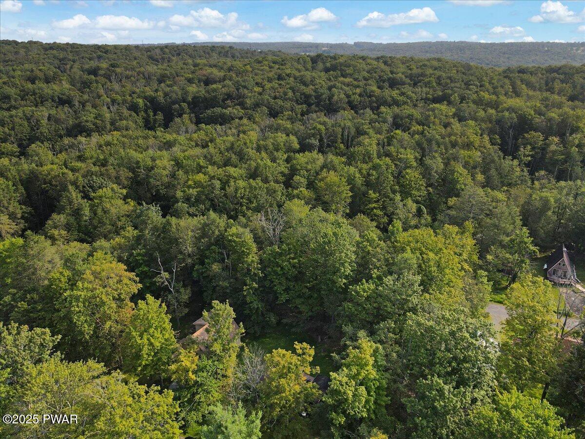 144 Bear Rock Road Lake Ariel, PA 18436 - Photo 63 of 63 View From Above