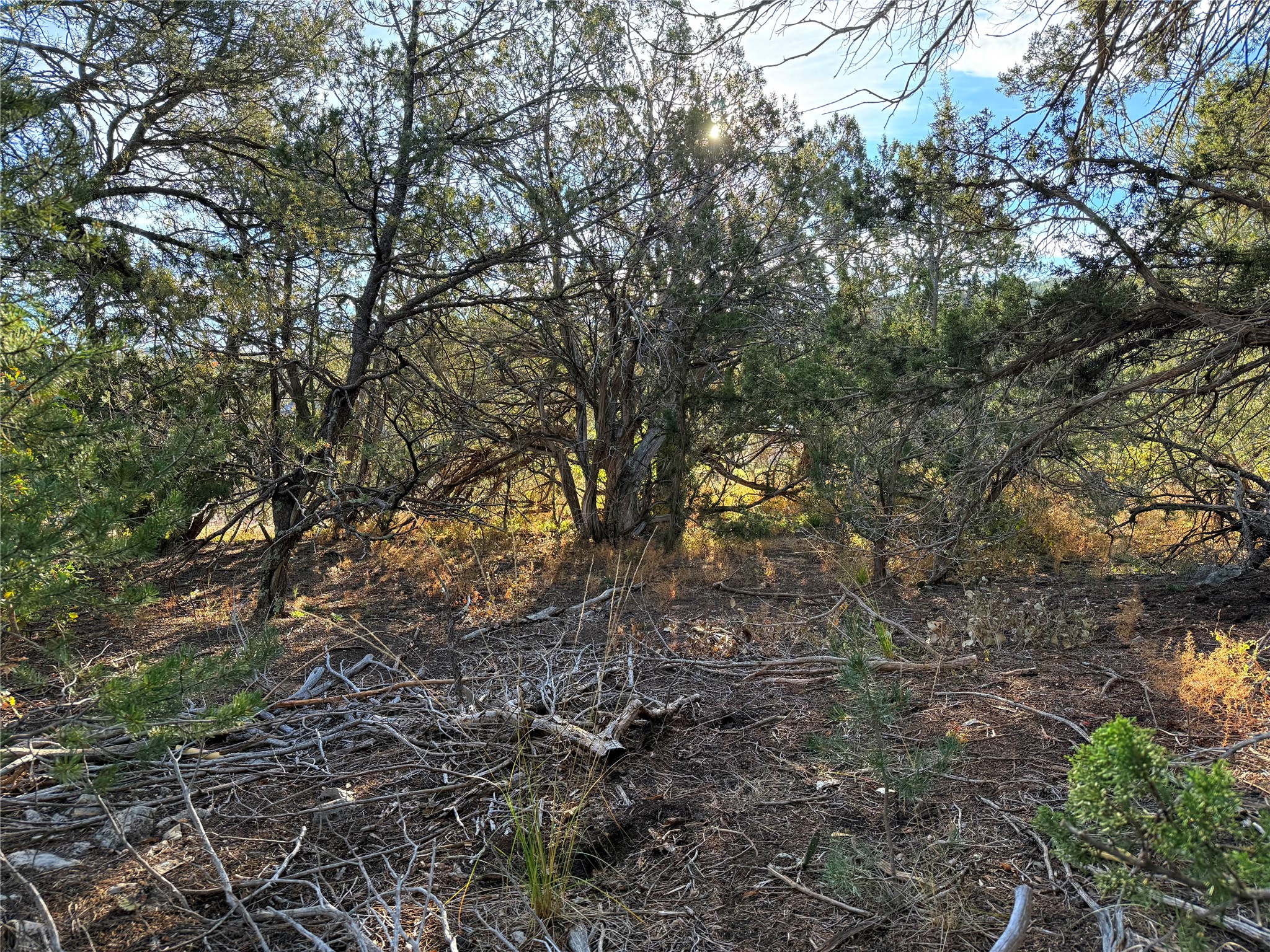 9 Peterson Road Edgewood, NM 87015 - Photo 6 of 9