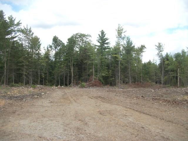 Lot P/o Railroad Bed Road Buckfield, ME 04220 - Photo 8 of 8 Photo