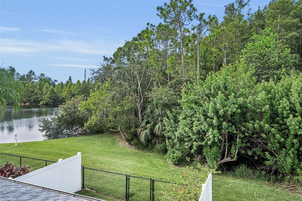 271 Hemingway Drive Oldsmar, FL 34677 - Photo 18 of 31 a view of a golf course with a lake