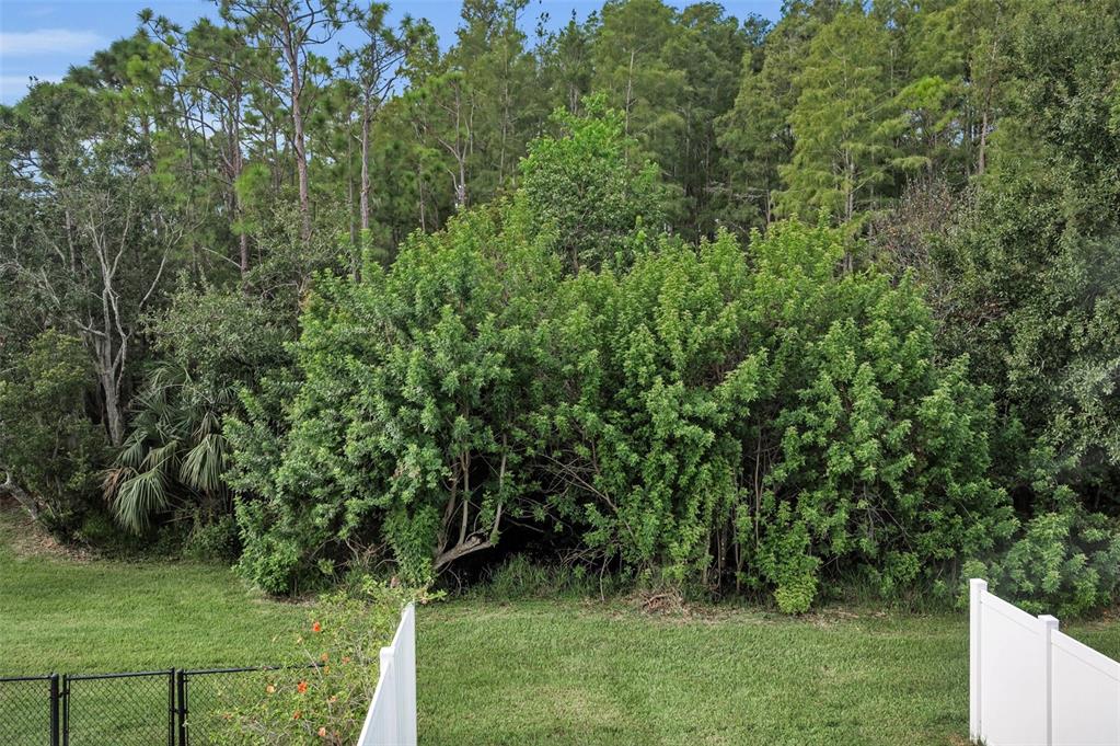 271 Hemingway Drive Oldsmar, FL 34677 - Photo 21 of 31 a view of a garden