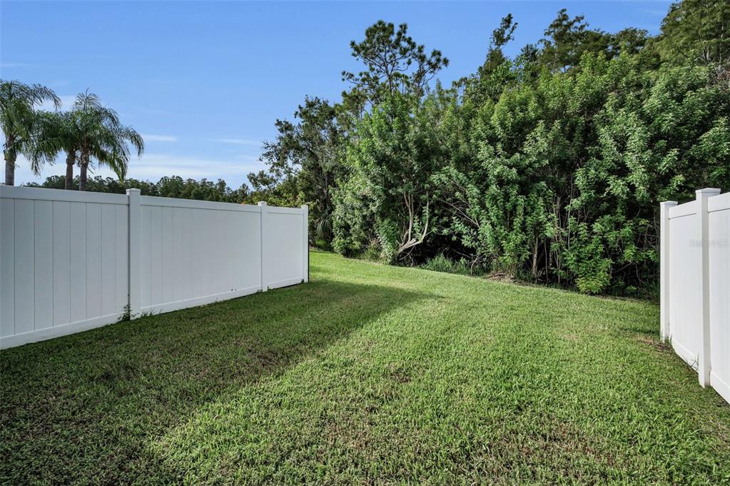 271 Hemingway Drive Oldsmar, FL 34677 - Photo 24 of 31 a view of a backyard