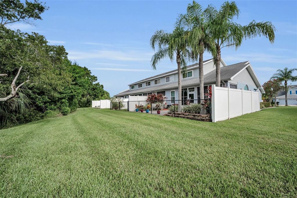 271 Hemingway Drive Oldsmar, FL 34677 - Photo 25 of 31 a view of a house with a big yard and palm trees