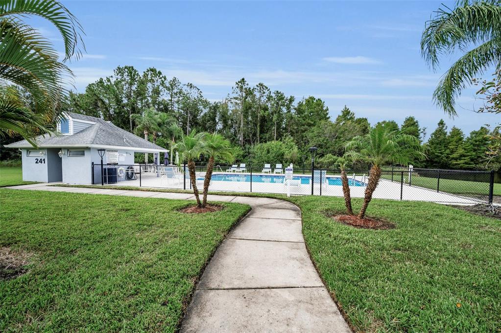 271 Hemingway Drive Oldsmar, FL 34677 - Photo 28 of 31 a view of a house with a yard