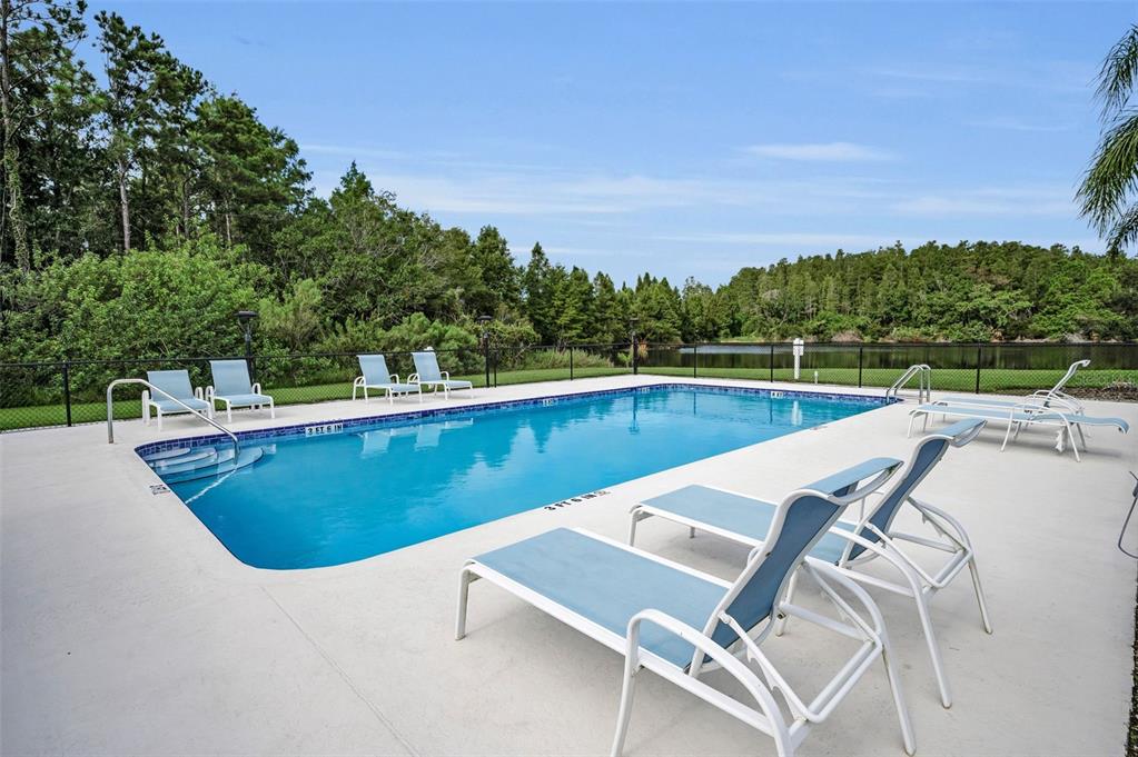 271 Hemingway Drive Oldsmar, FL 34677 - Photo 29 of 31 a view of a swimming pool with a terrace