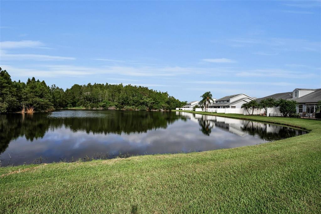 271 Hemingway Drive Oldsmar, FL 34677 - Photo 31 of 31 a view of a lake with houses in the back