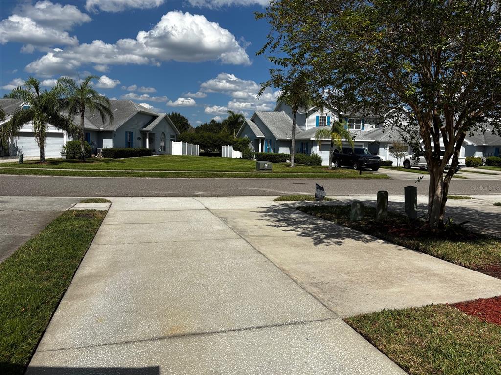 271 Hemingway Drive Oldsmar, FL 34677 - Photo 4 of 31 a view of a park with large trees