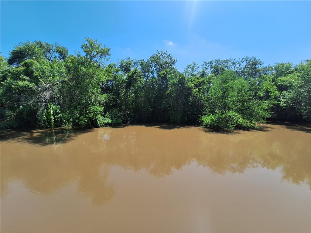 0 County Road Robstown, TX 78380 - Photo 10 of 17