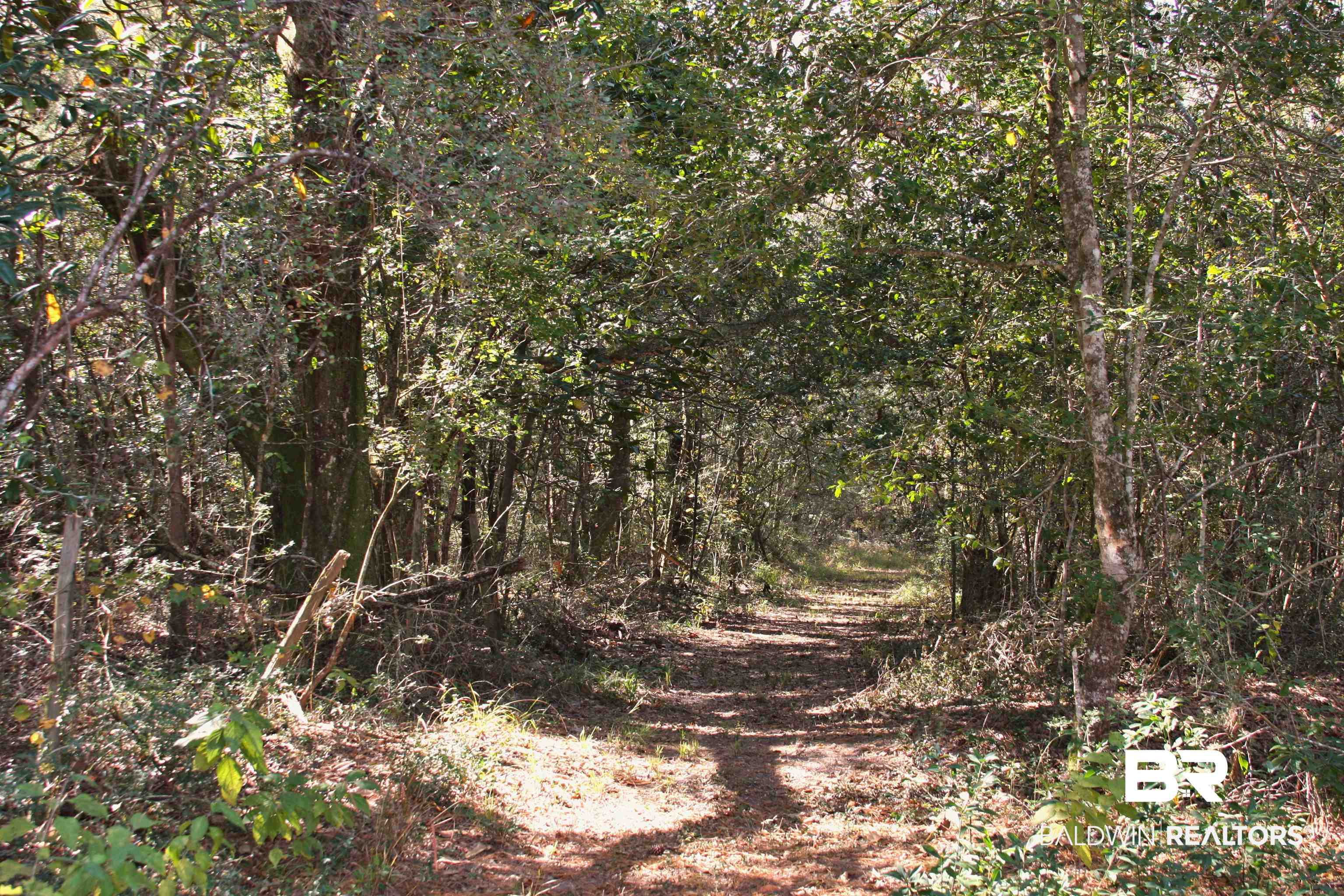 41305 Pine Grove Road Bay Minette, AL 36507 - Photo 22 of 27 Gallery Image 22