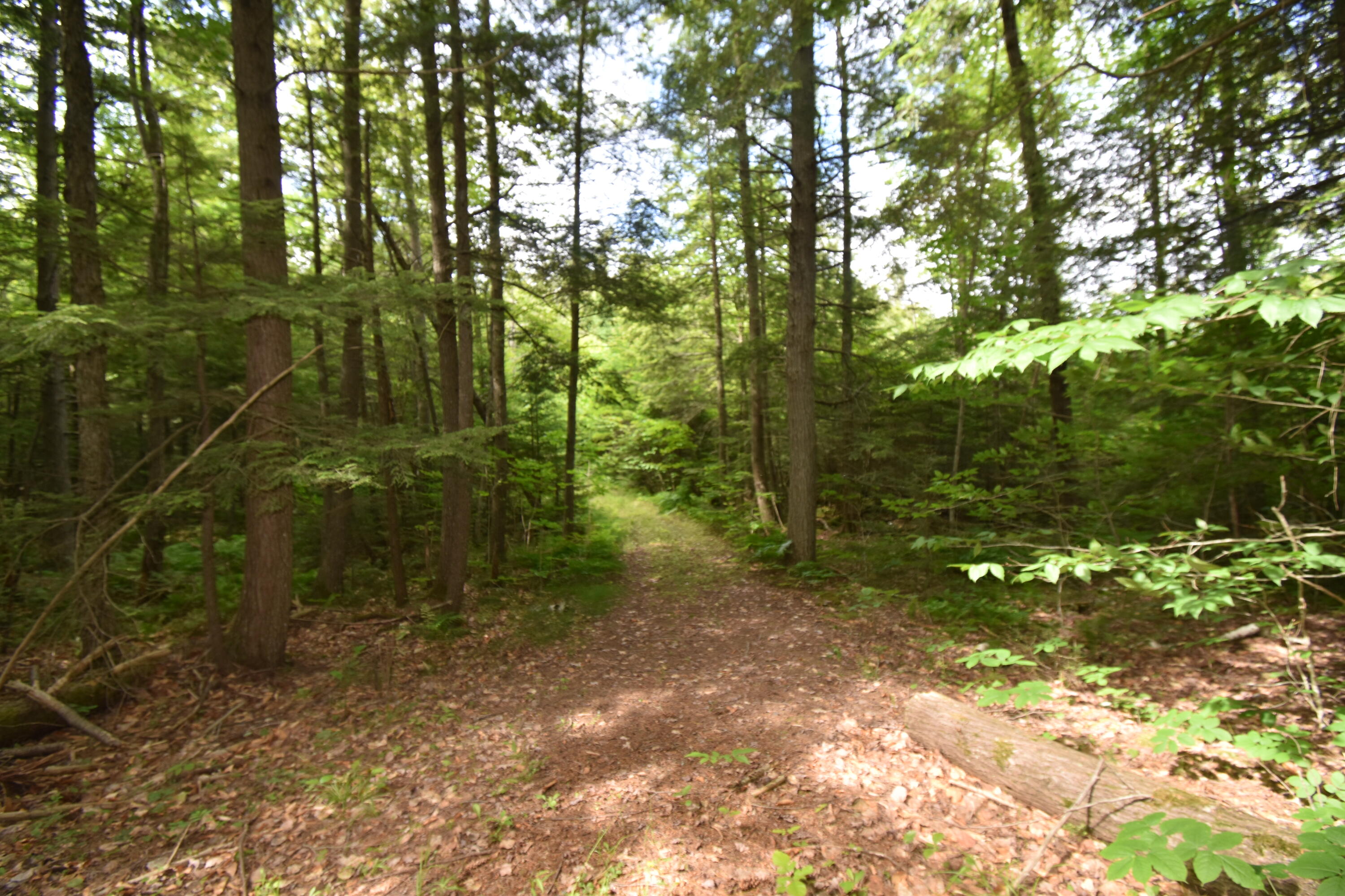 58 Pond Road Manchester, ME 04351 - Photo 61 of 67 DSC_0772