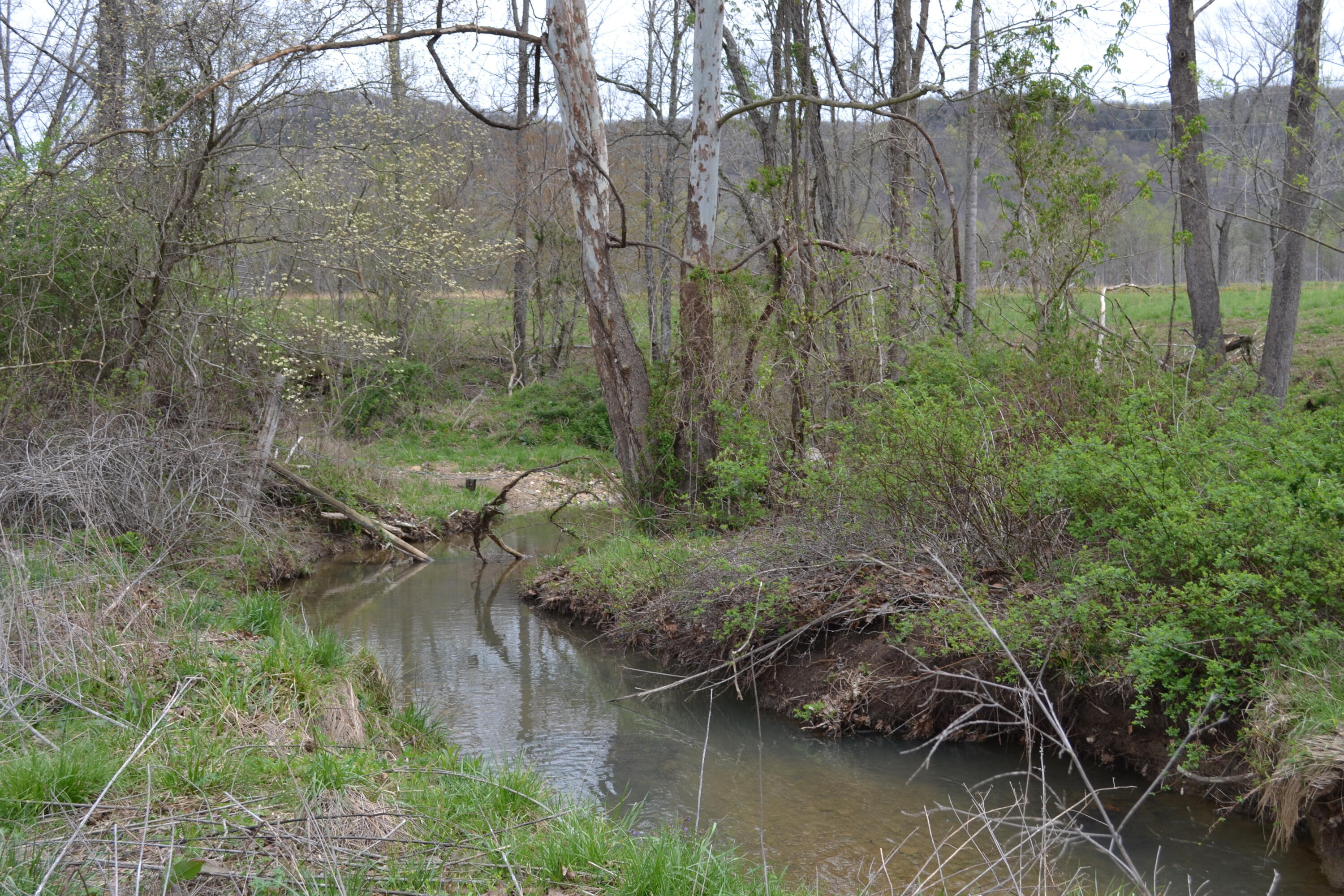 300 Sang Br Road Irvine, KY 40336 - Photo 23 of 62 DSC_5554