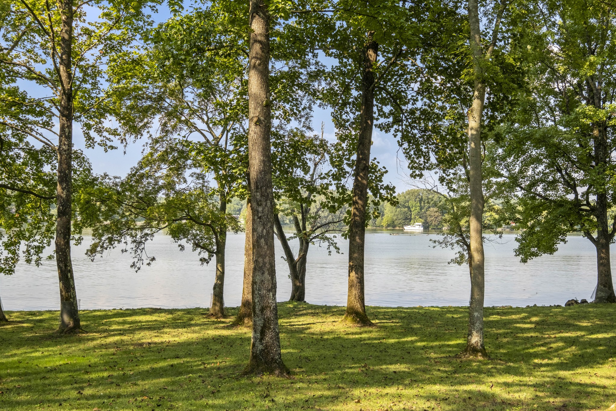 175 Cherokee Dock Road Lebanon, TN 37087 - Photo 25 of 45 a view of a ocean view