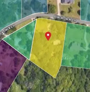 a view of a garden with a lake