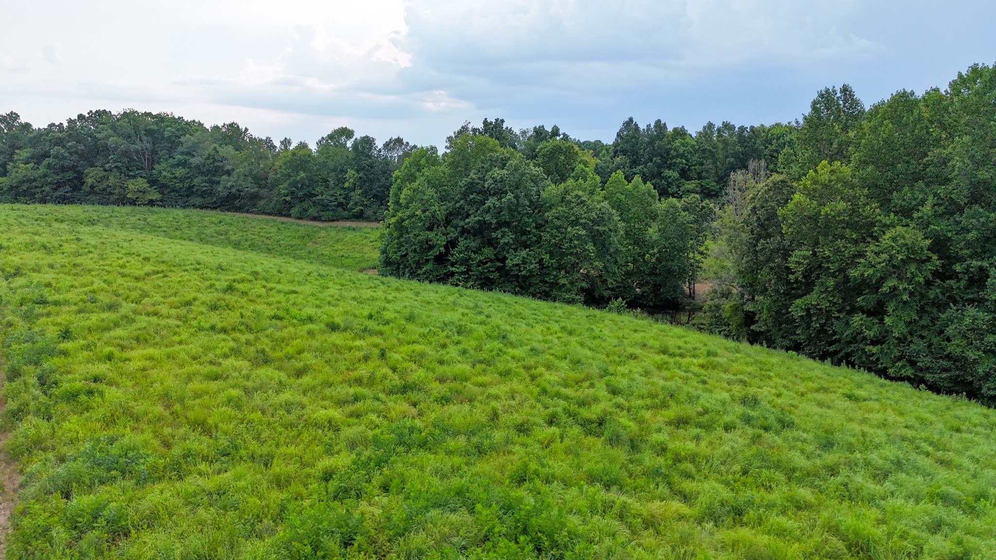 439 Appleton Road Five Points, TN 38457 - Photo 43 of 70 a view of a field with a tree in the background