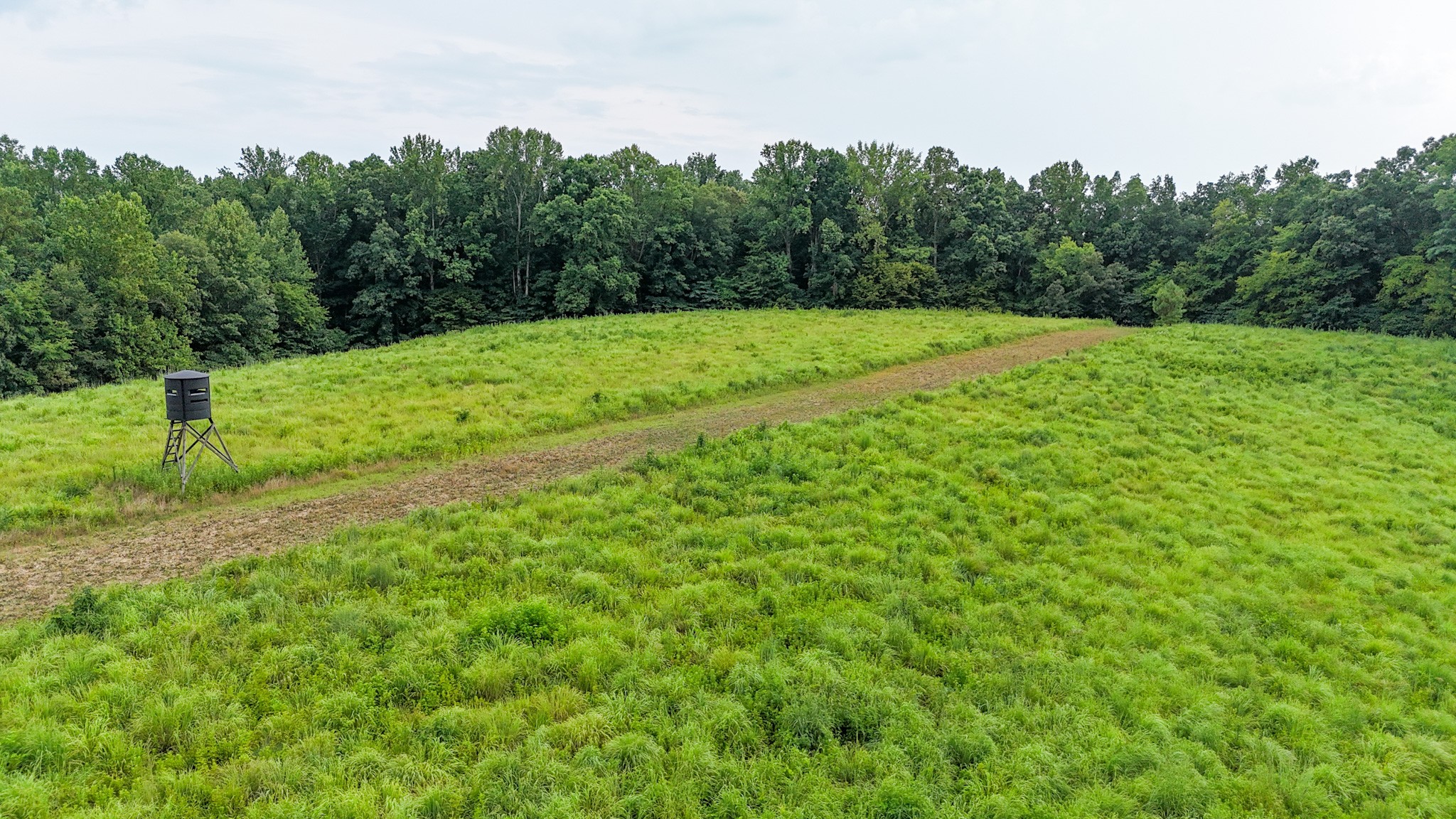 439 Appleton Road Five Points, TN 38457 - Photo 45 of 70 a view of a field with grass and a houses