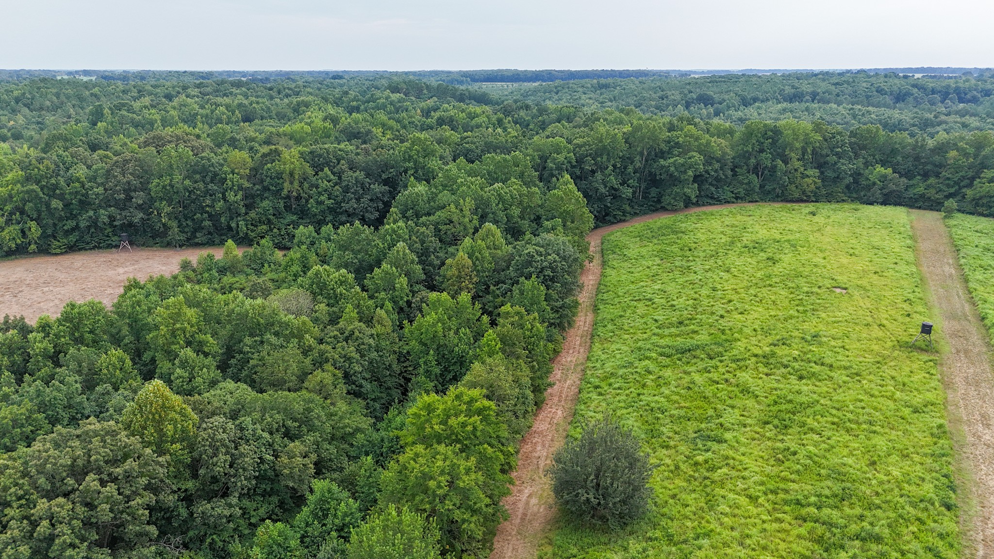 439 Appleton Road Five Points, TN 38457 - Photo 48 of 70