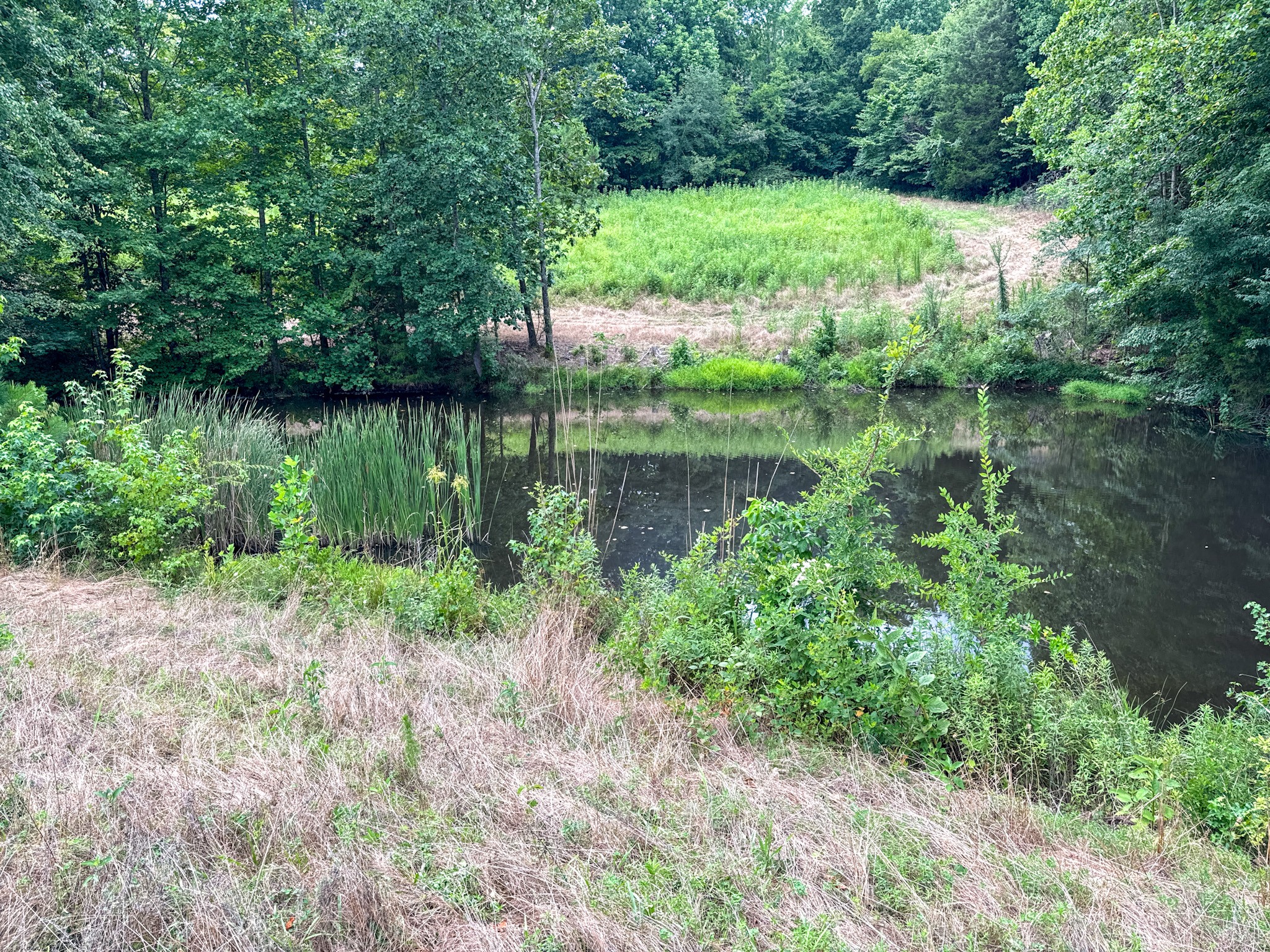 439 Appleton Road Five Points, TN 38457 - Photo 54 of 70 a view of a lake view with a garden