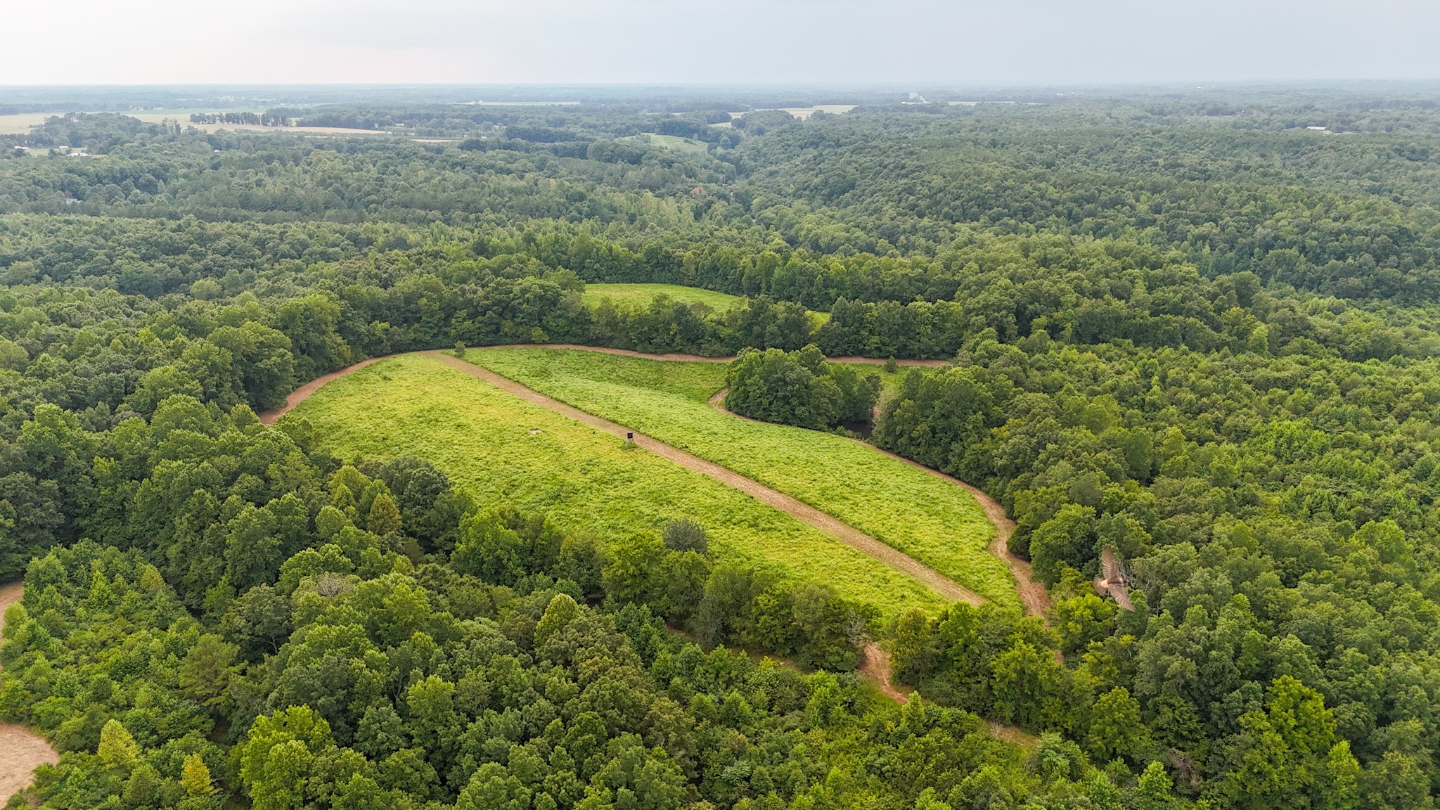 439 Appleton Road Five Points, TN 38457 - Photo 60 of 70 a view of a big yard with lots of green space