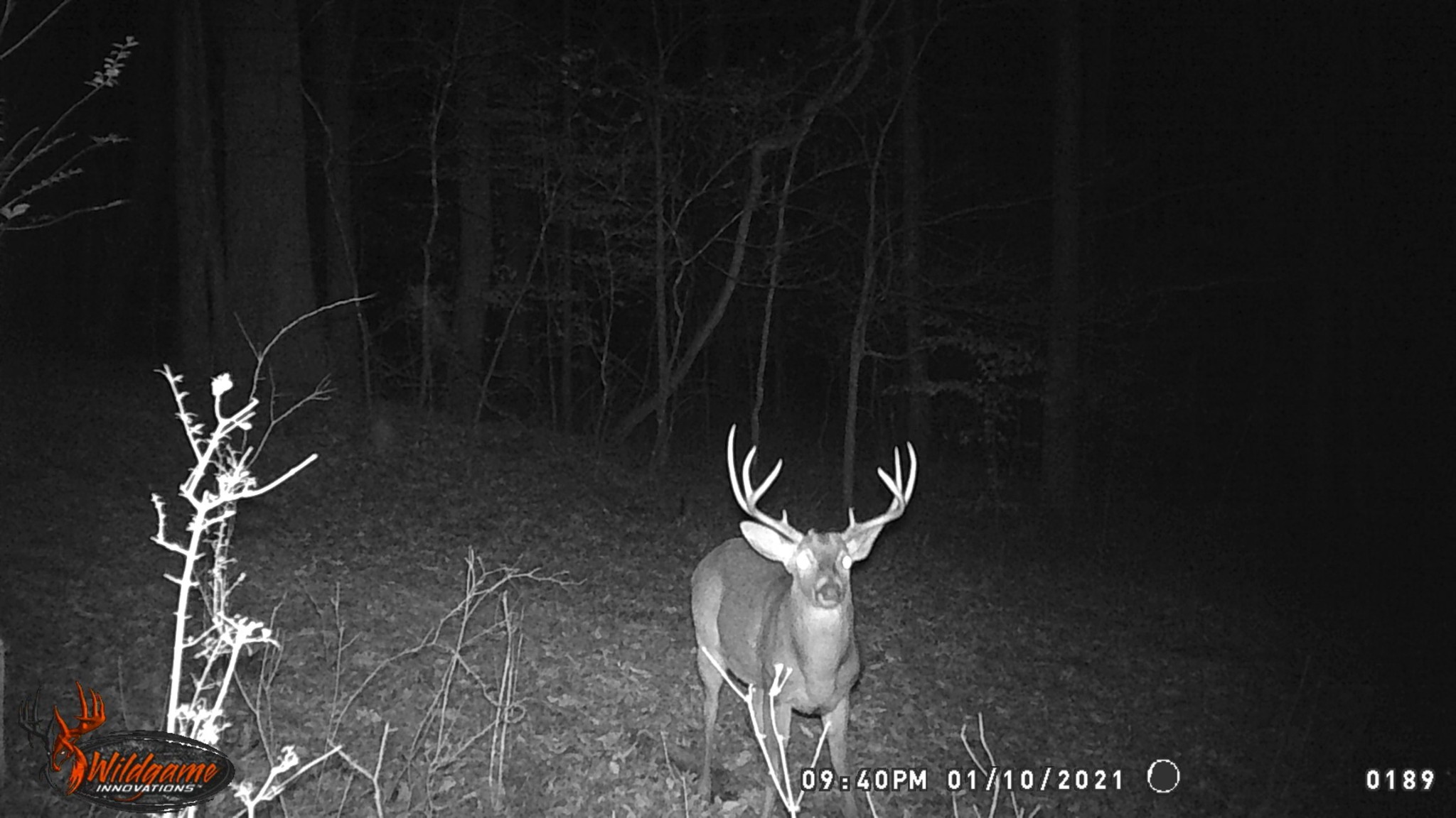 439 Appleton Road Five Points, TN 38457 - Photo 64 of 70