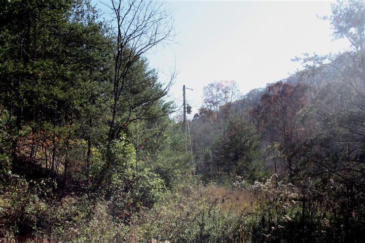 1916 Caudill Road Stanton, KY 40380 - Photo 10 of 13 Photo 10