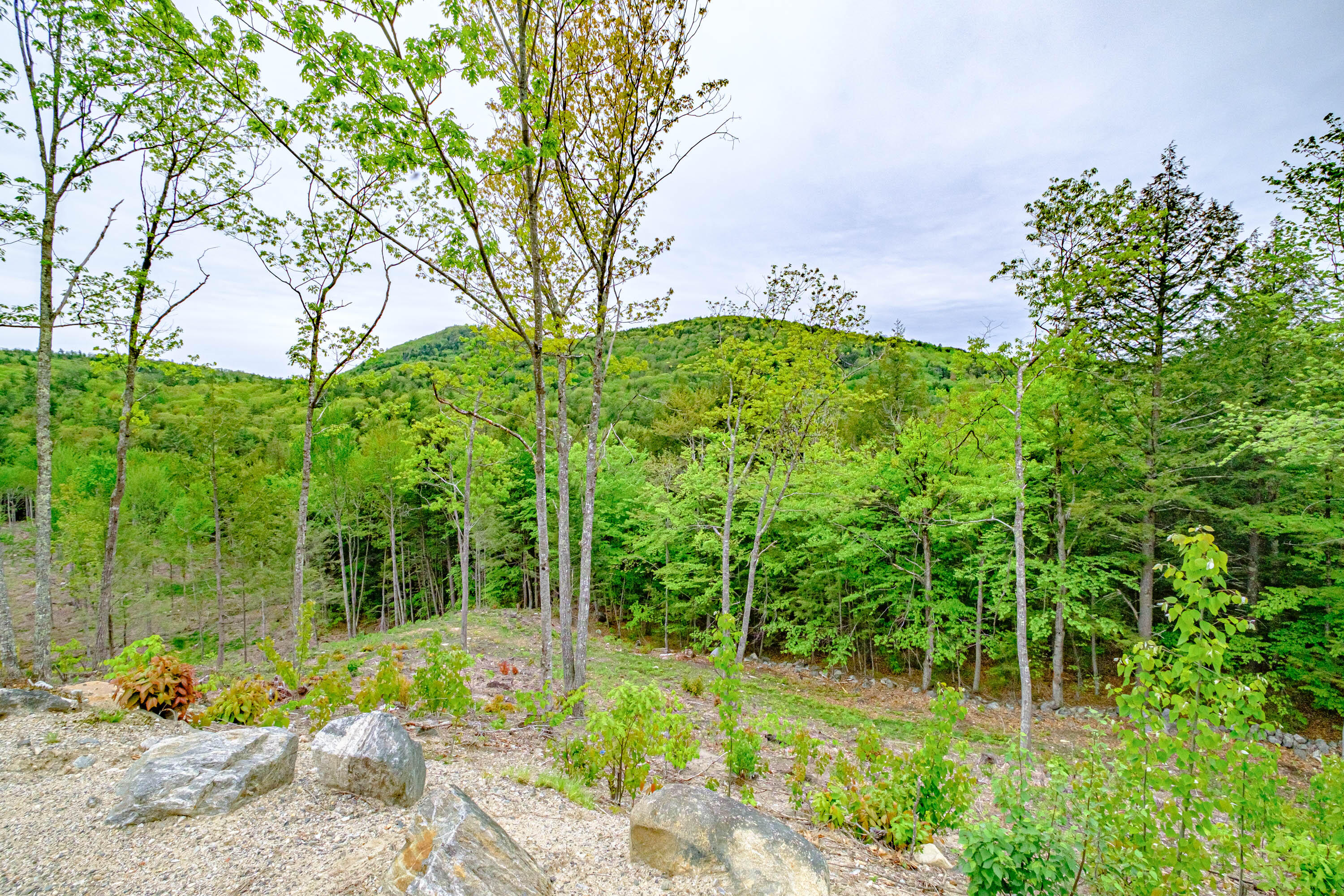 70 Corson Road Parsonsfield, ME 04047 - Photo 77 of 80 20220519gp-60086