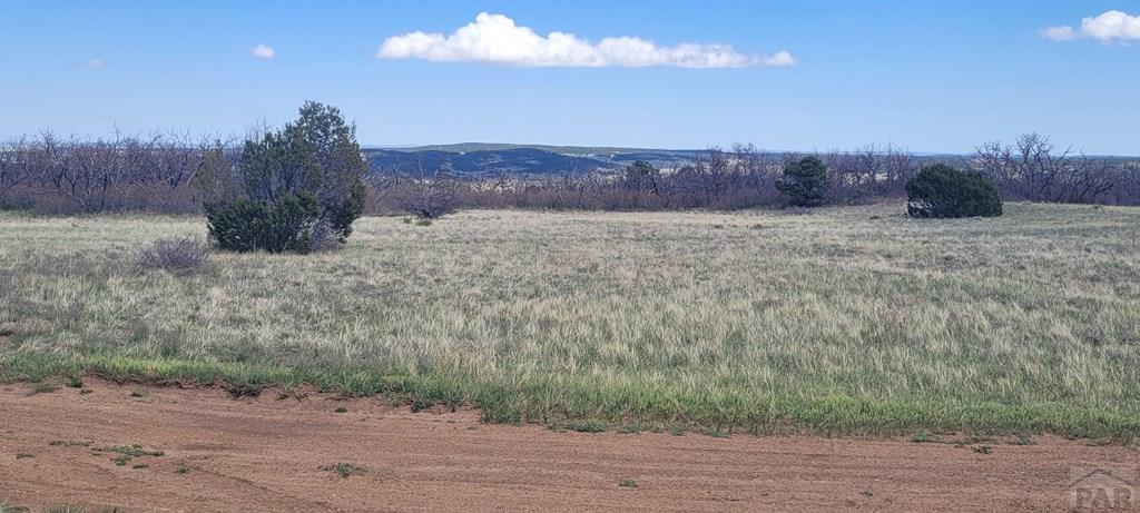 17 A Majors Ranch Road Walsenburg, CO 81089 - Photo 8 of 17
