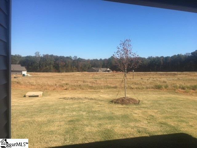 159 Eventine Way Boiling Springs, SC 29316 - Photo 6 of 15