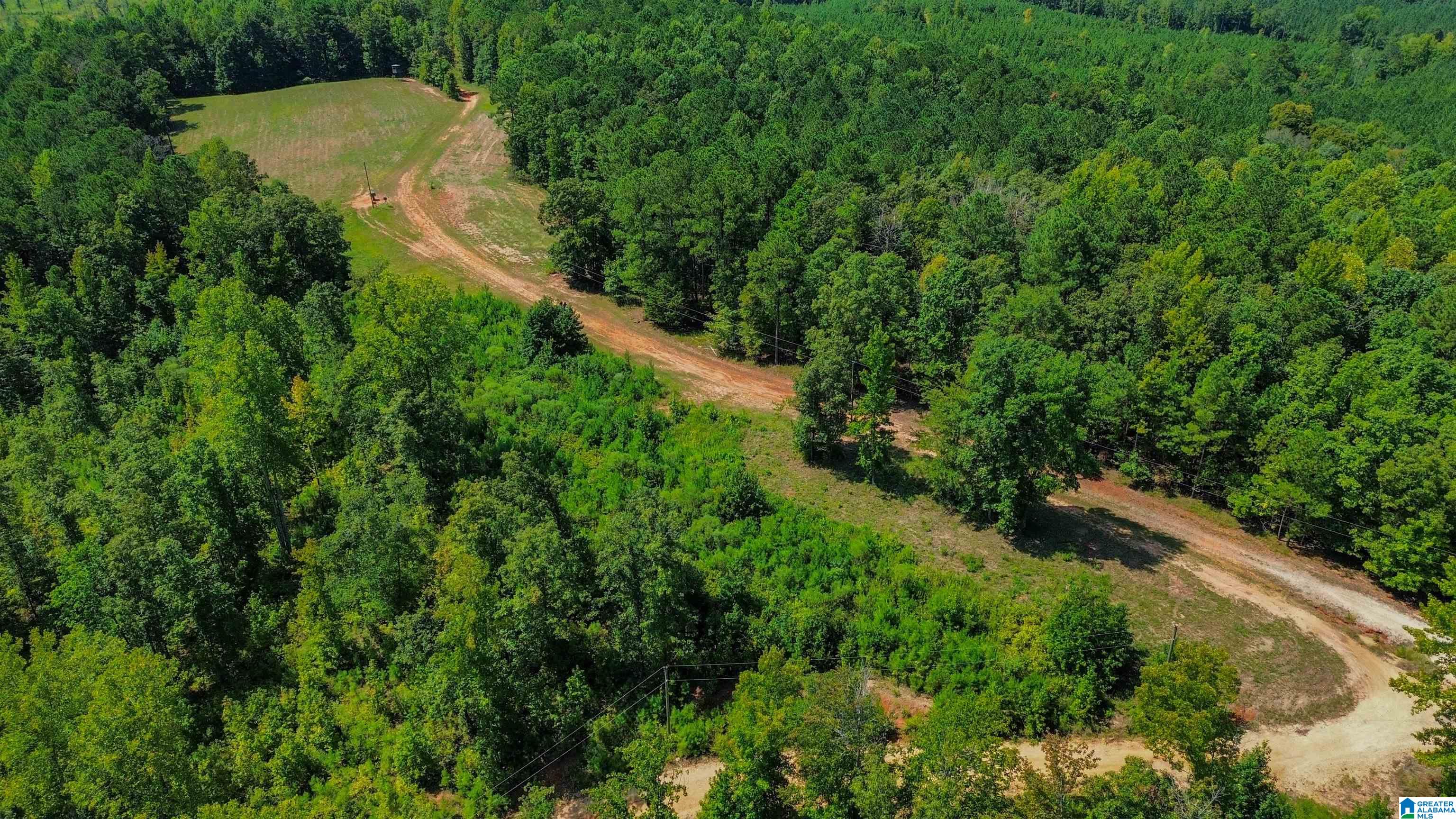 0 Burger Curb Road Marion, AL 36756 - Photo 36 of 59