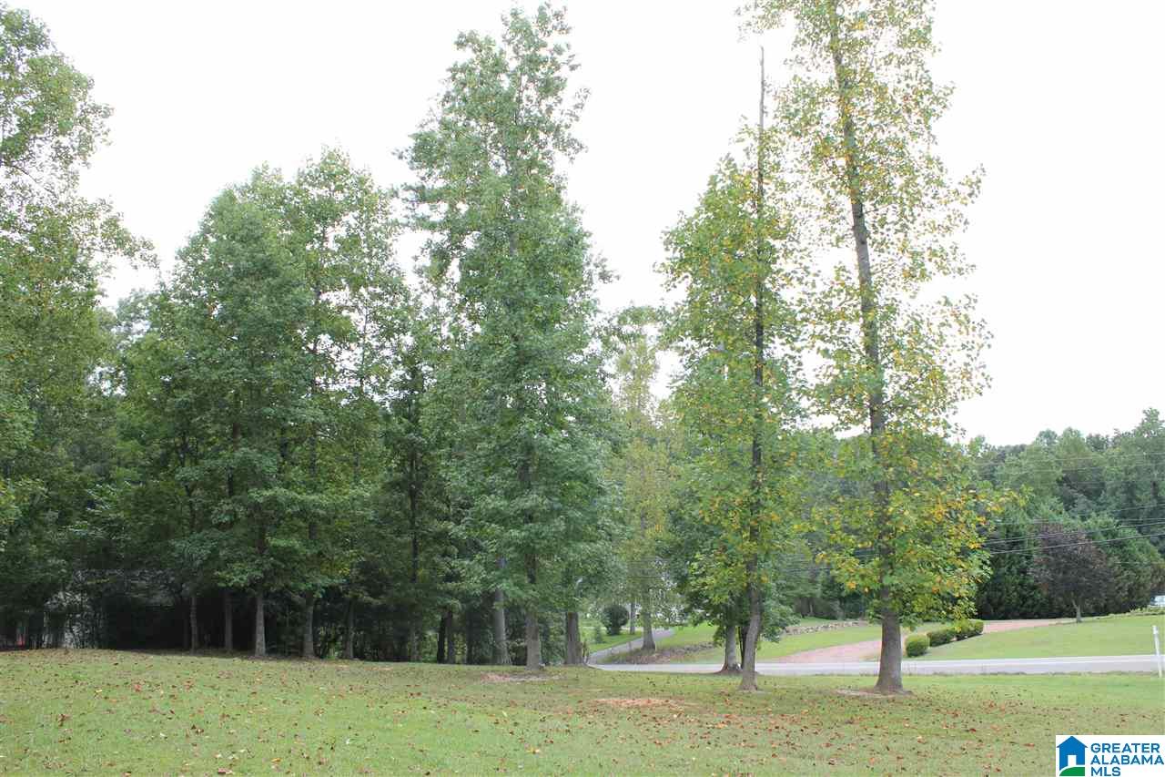 1780 Brookside Road, Unit 1 Mount Olive, AL 35117 - Photo 10 of 13 Gallery Image 10