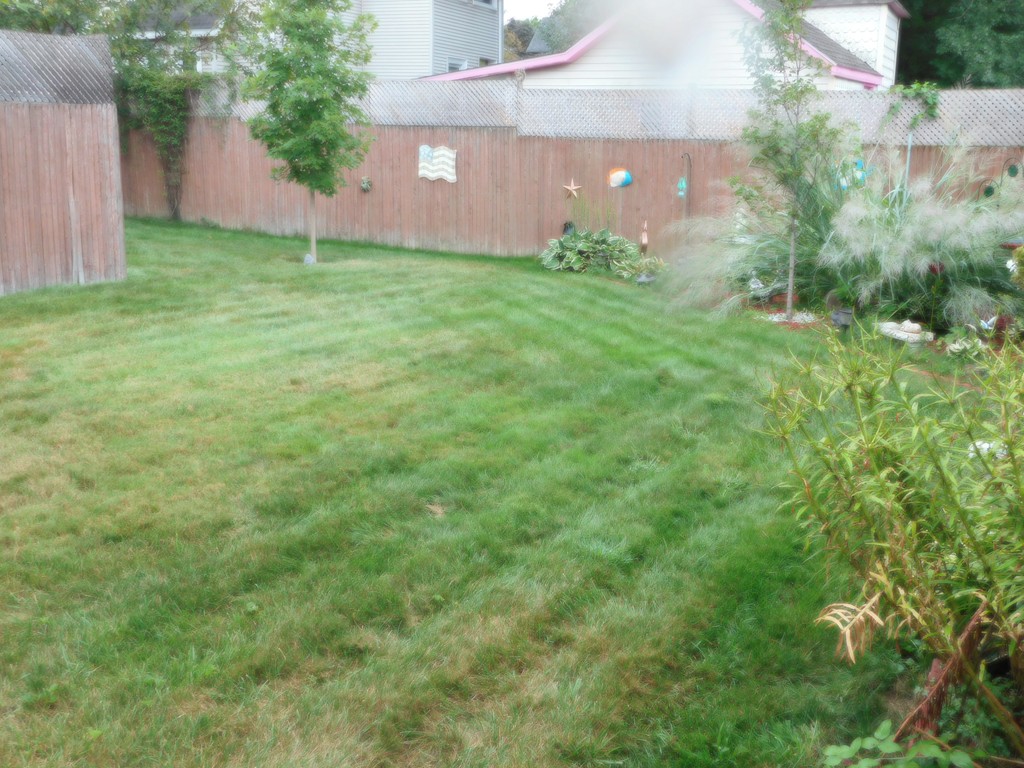 126 Monrovia Street Springfield, MA 01104 - Photo 21 of 30 Gallery Image 21