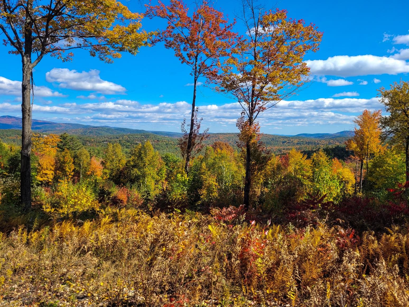 0 Meadow Road, Unit 41 Newbury, NH 03255 - Photo 1 of 9