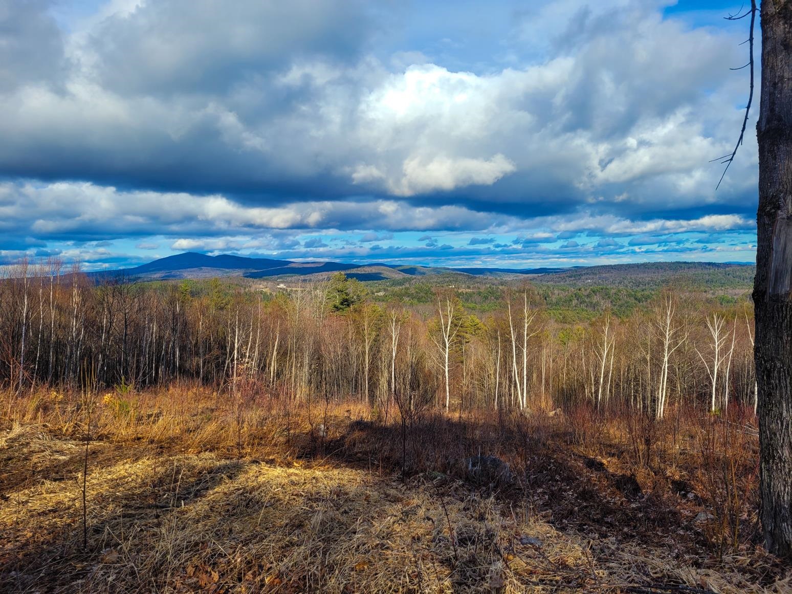 0 Meadow Road, Unit 41 Newbury, NH 03255 - Photo 2 of 9