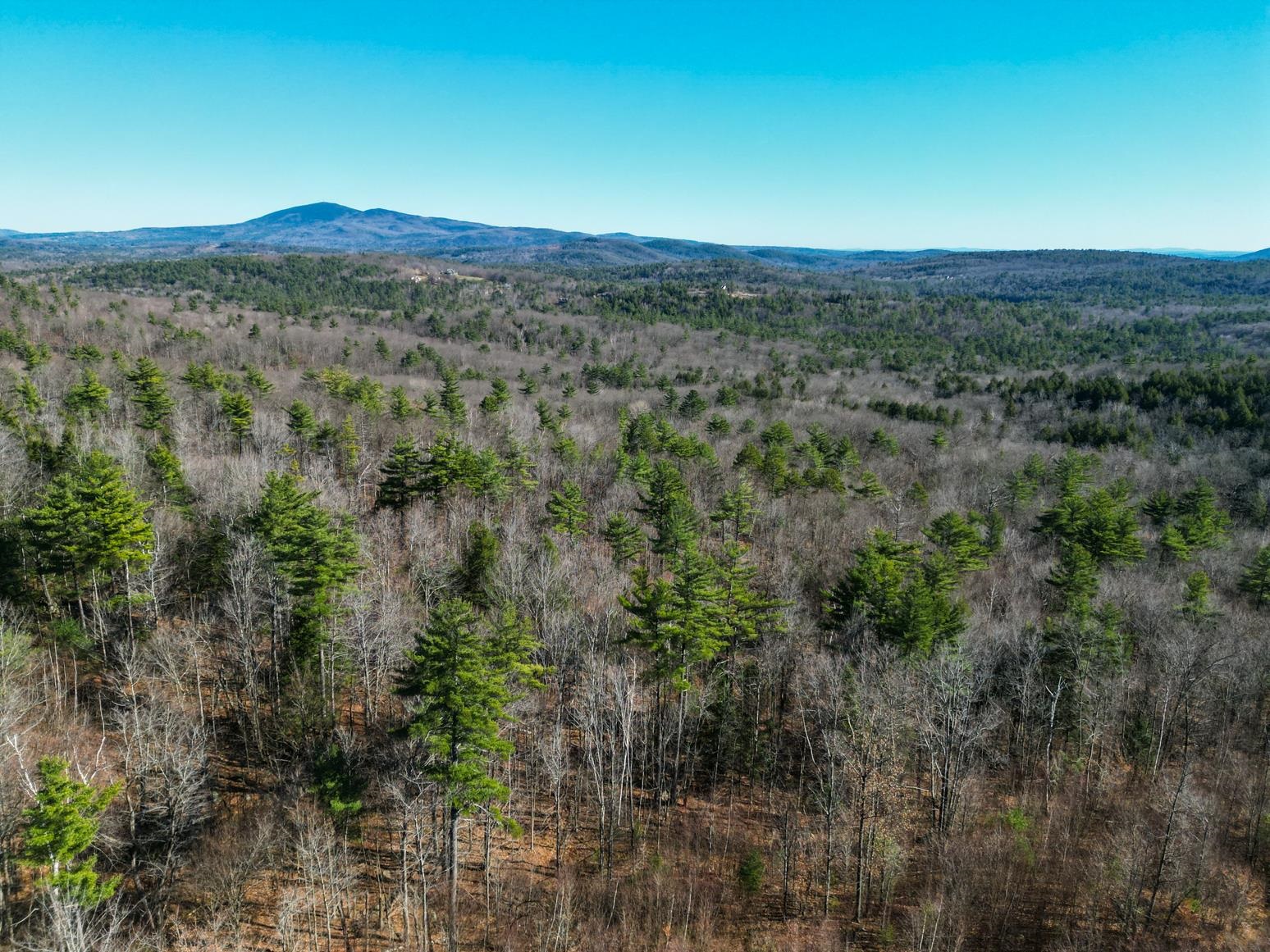 0 Meadow Road, Unit 41 Newbury, NH 03255 - Photo 5 of 9