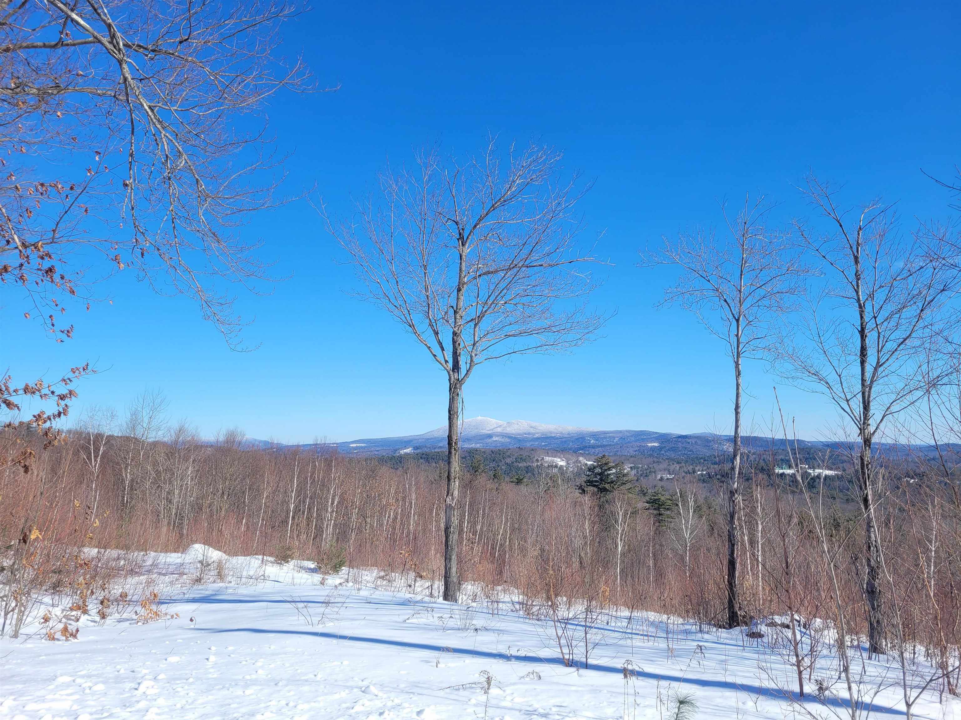 0 Meadow Road, Unit 41 Newbury, NH 03255 - Photo 9 of 9