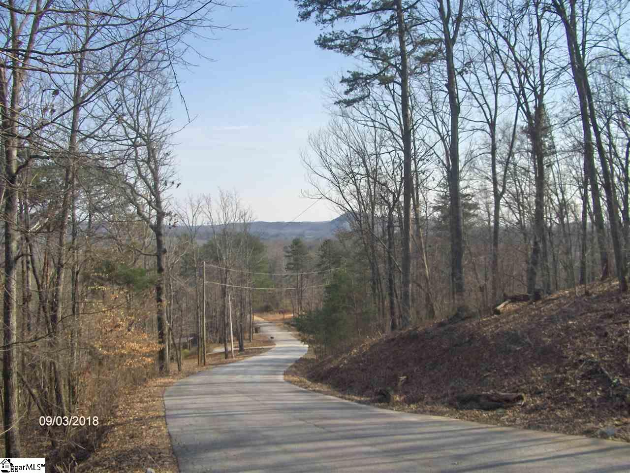 327 Ossie Hayes Road Pickens, SC 29671 - Photo 2 of 3