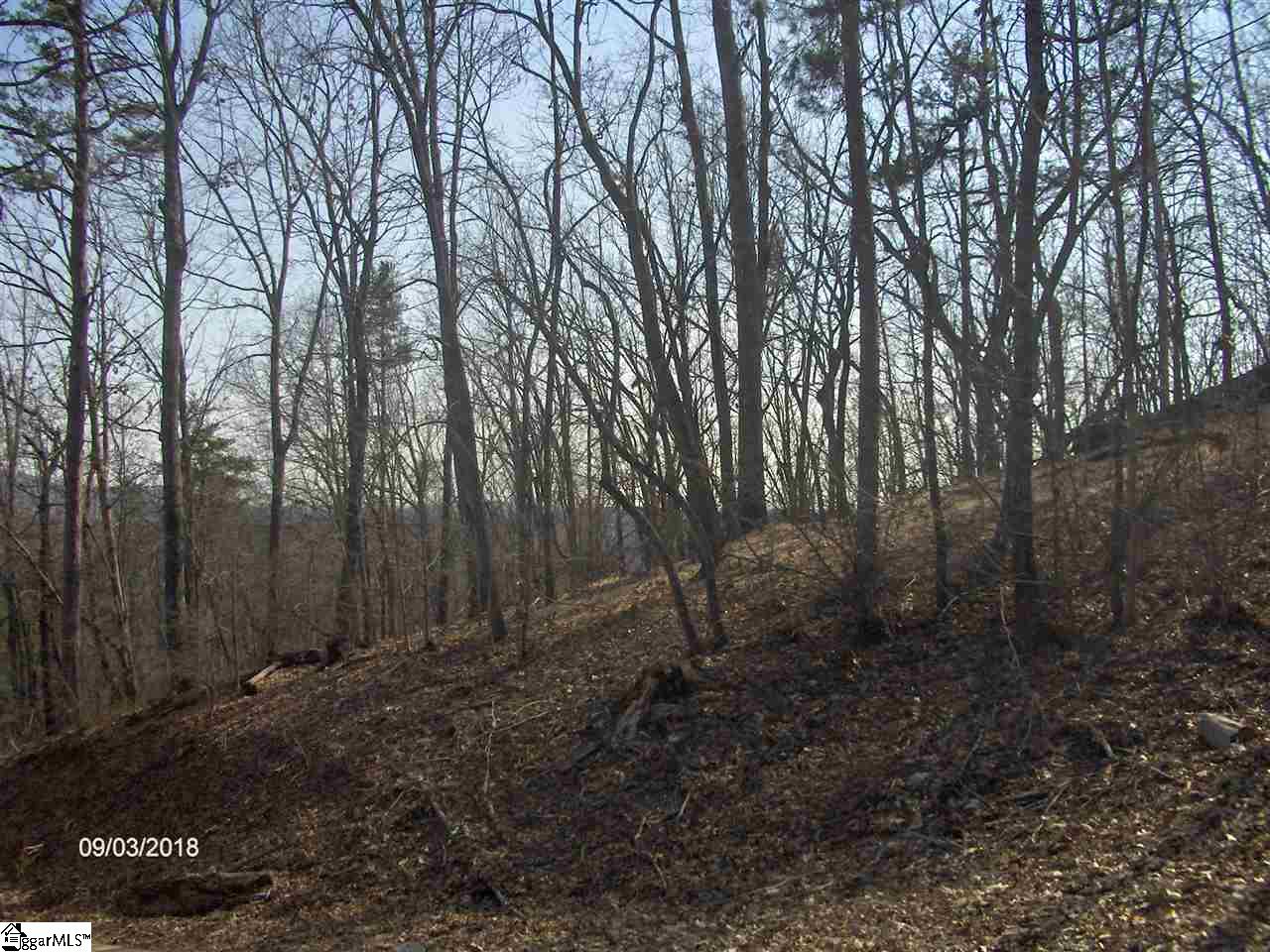 327 Ossie Hayes Road Pickens, SC 29671 - Photo 3 of 3