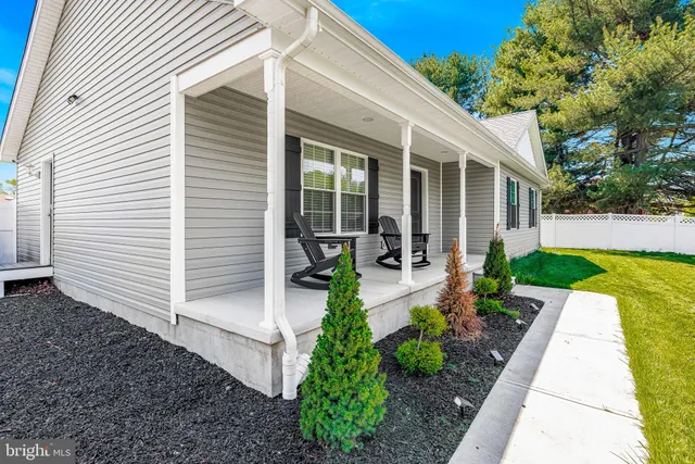 a view of a patio with chairs potted plants and a large tree
