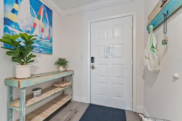 a view of bathroom with a potted plant on the counter