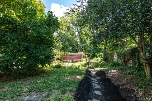 a view of a backyard with plants