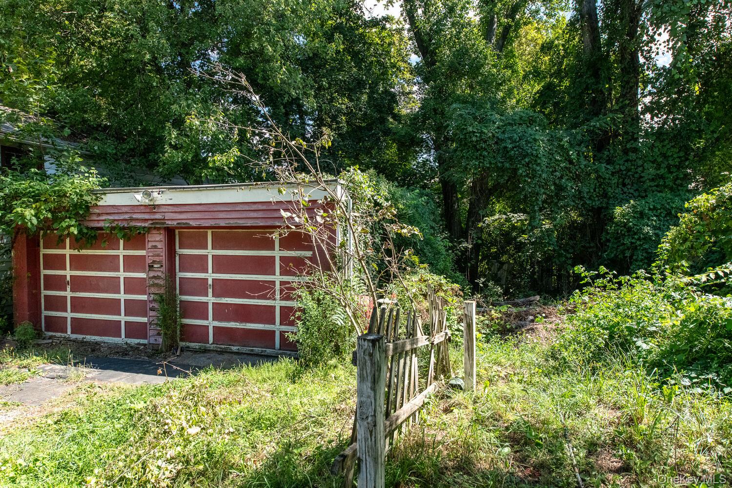 88 South Hamilton Street Poughkeepsie, NY 12601 - Photo 38 of 47 a view of a backyard with plants