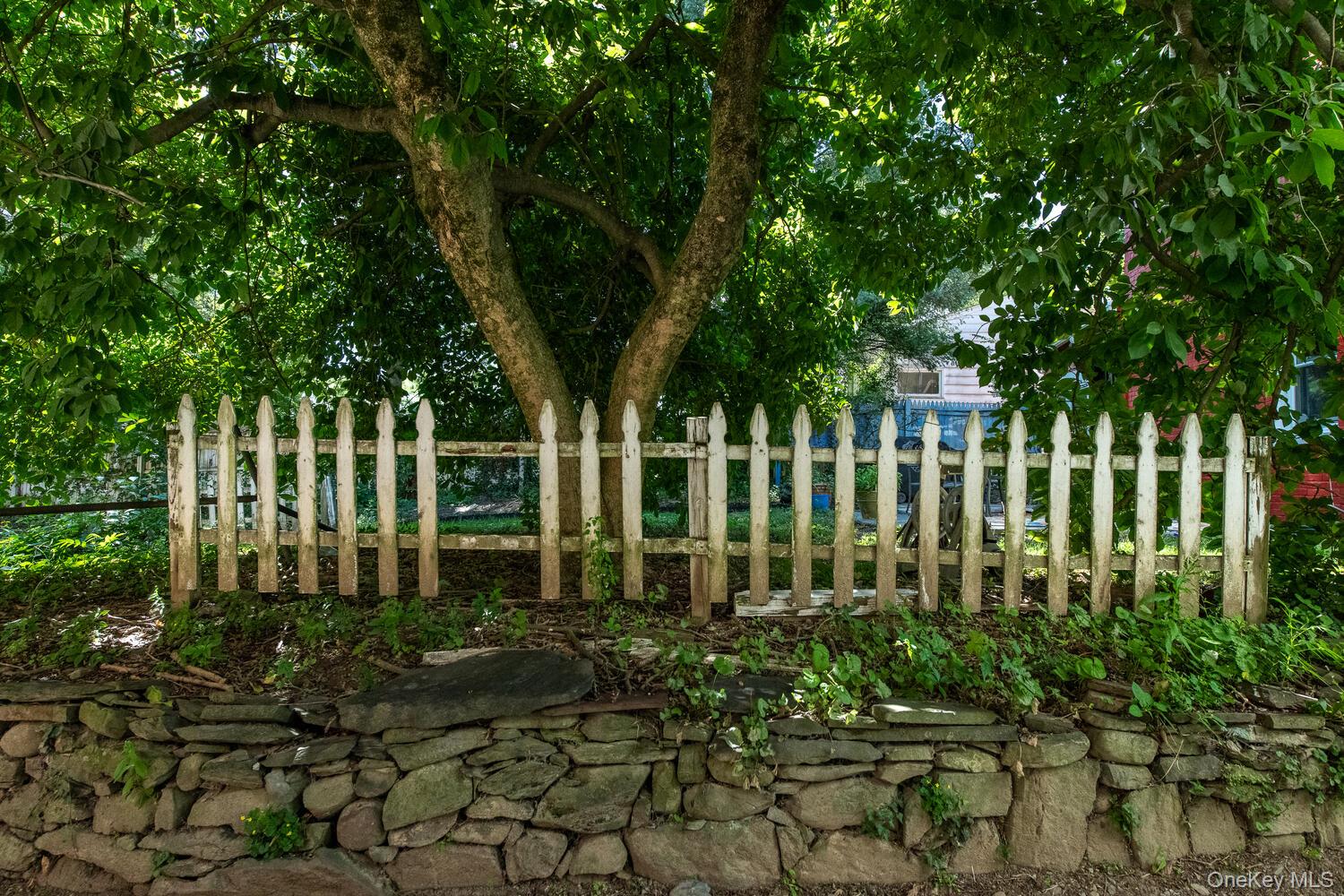 88 South Hamilton Street Poughkeepsie, NY 12601 - Photo 39 of 47 a view of a backyard with plants