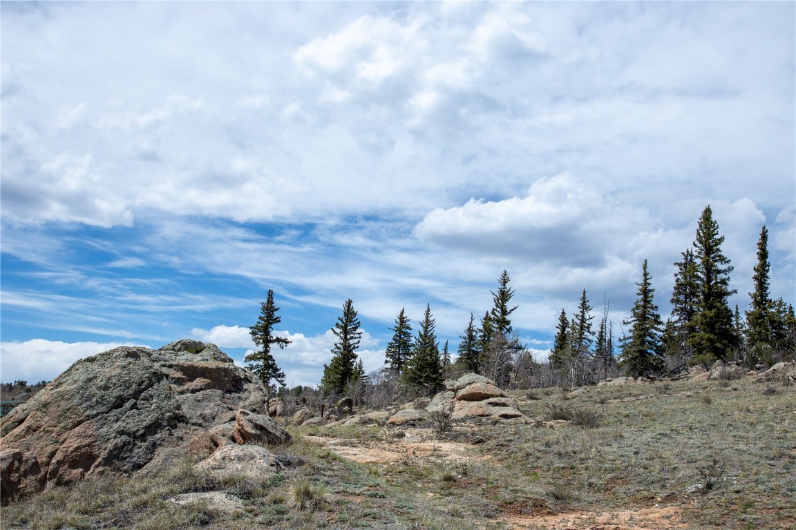 525 Swiggler Road Jefferson, CO 80456 - Photo 15 of 23 View of mountain background