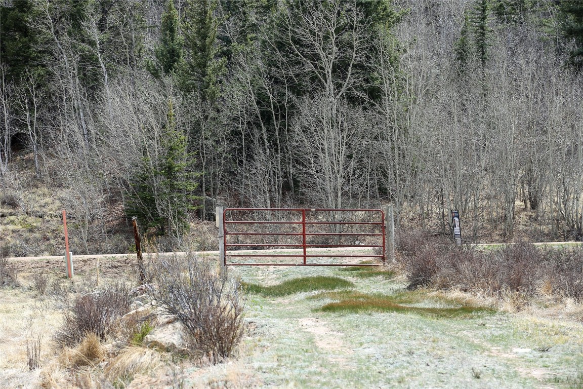 525 Swiggler Road Jefferson, CO 80456 - Photo 17 of 23 View of yard featuring a gate